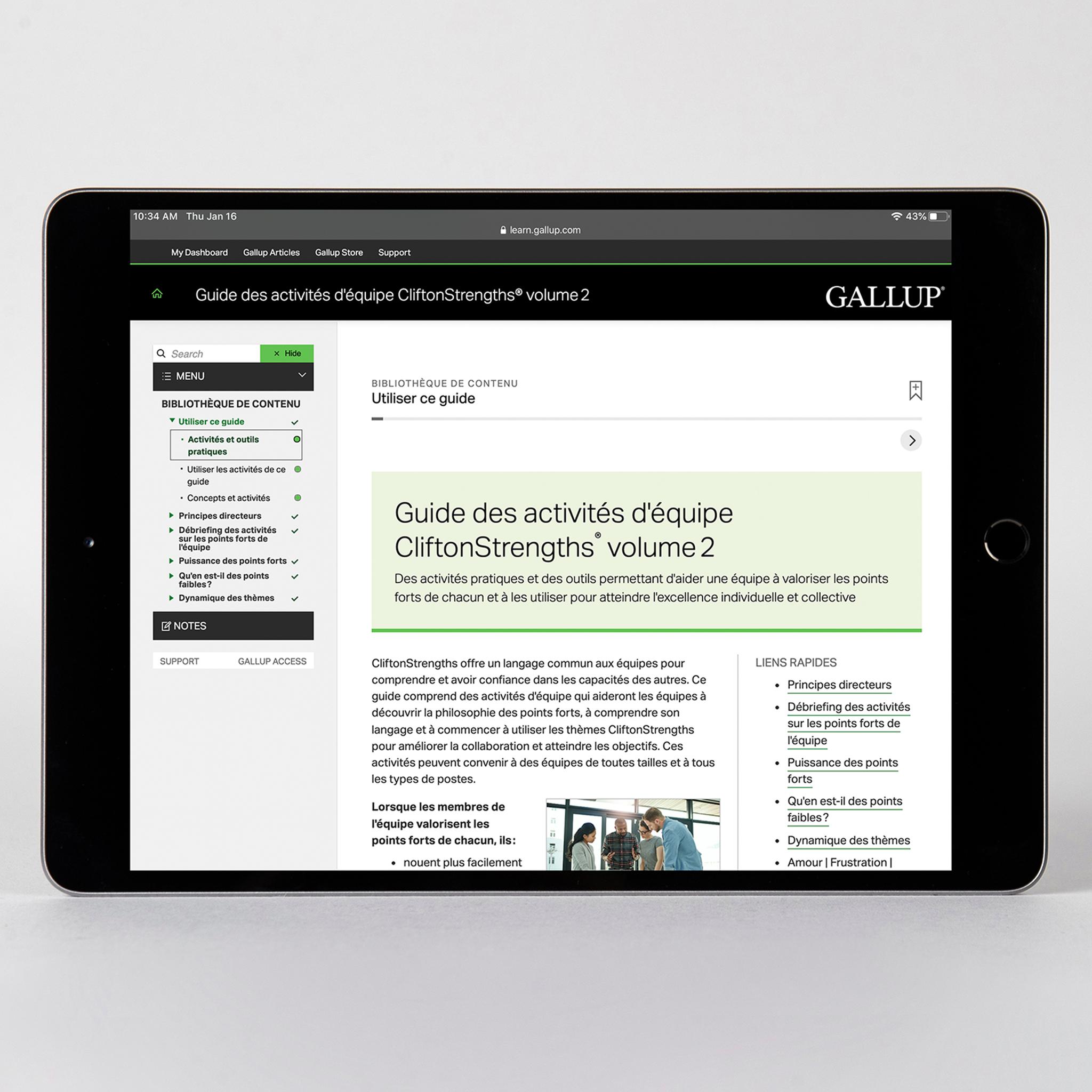 CliftonStrengths Team Activities Guide Volume 2 International Version ...