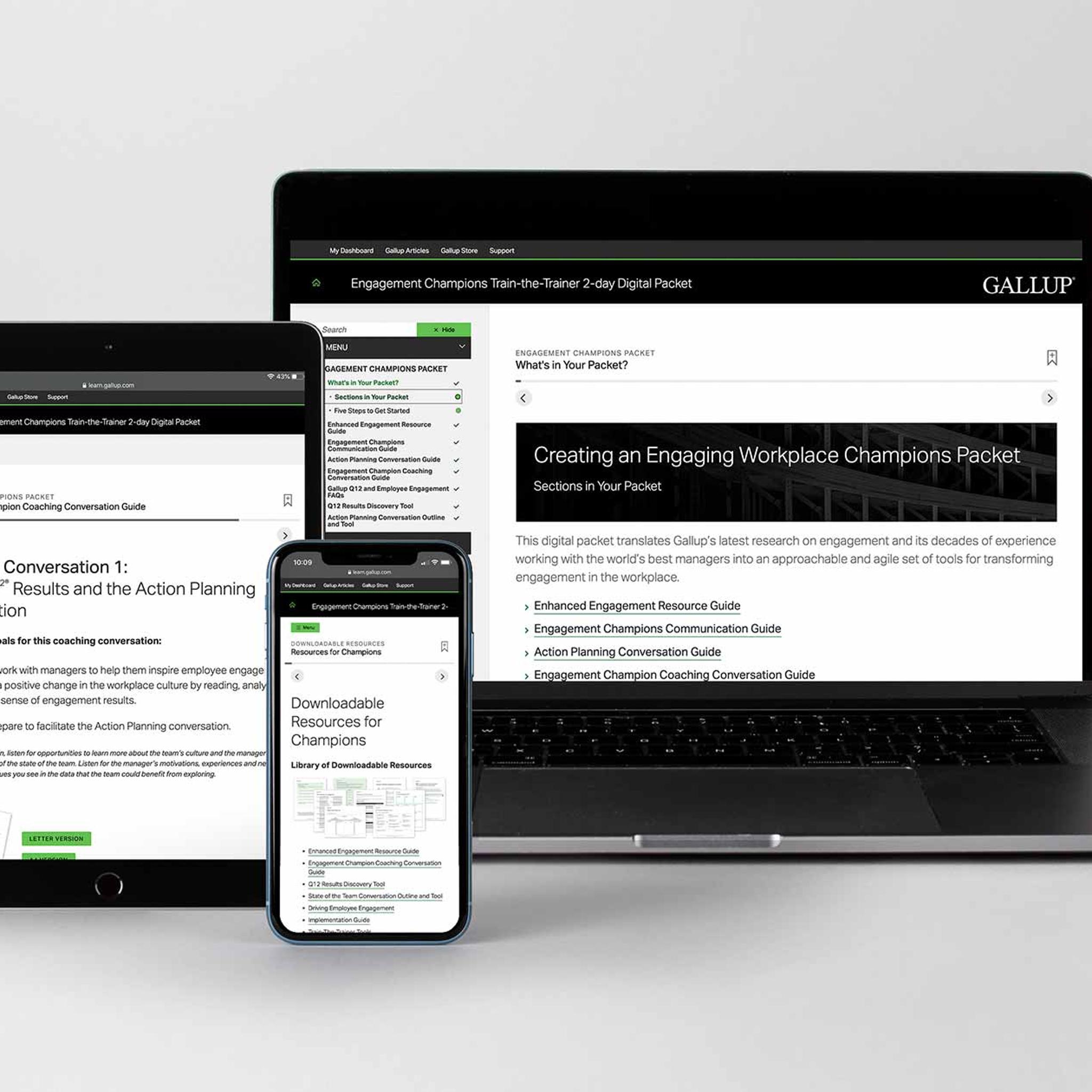 Creating an Engaging Workplace Course for Engagement Champions (Virtual