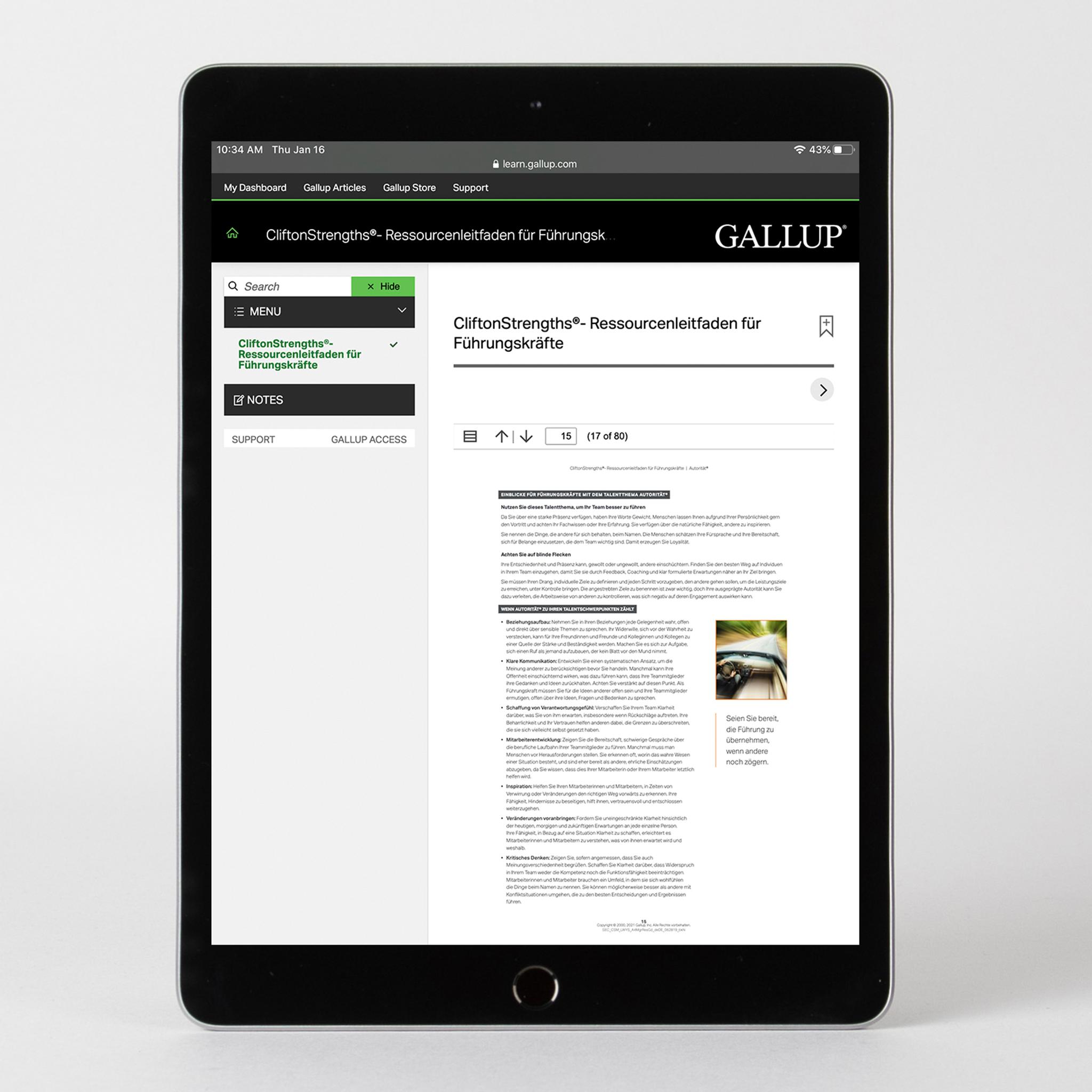 CliftonStrengths Resource Guide for Managers International Edition